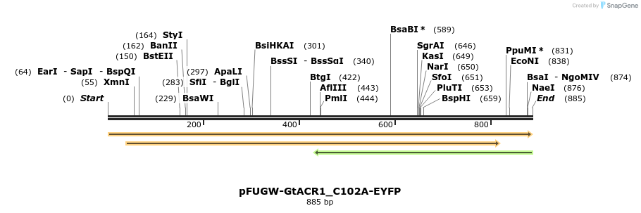 225442_map