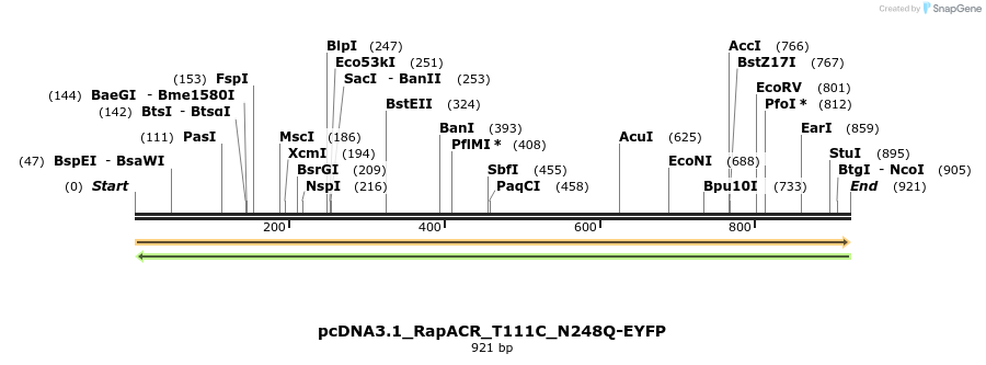 225444_map