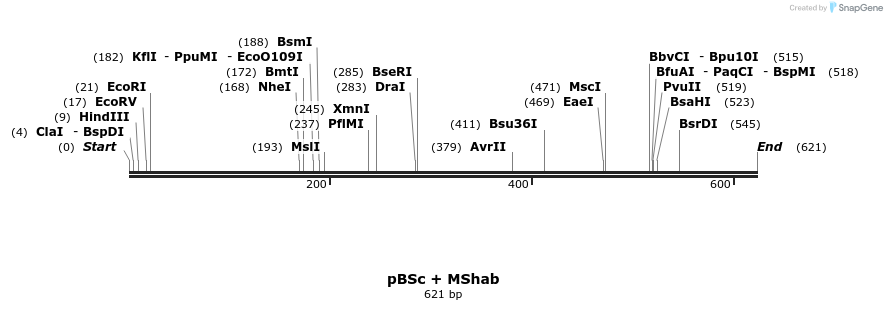 22548_map