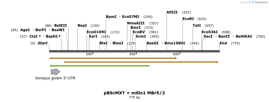 22550_map