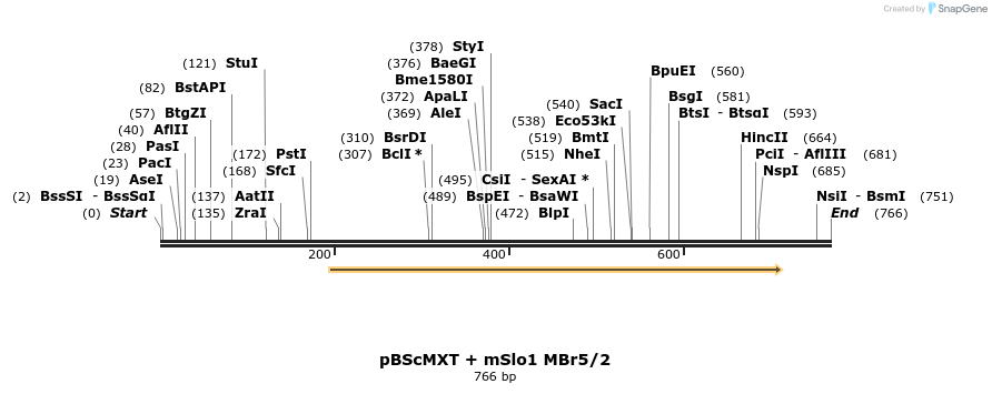 22551_map