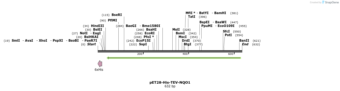 225534_map