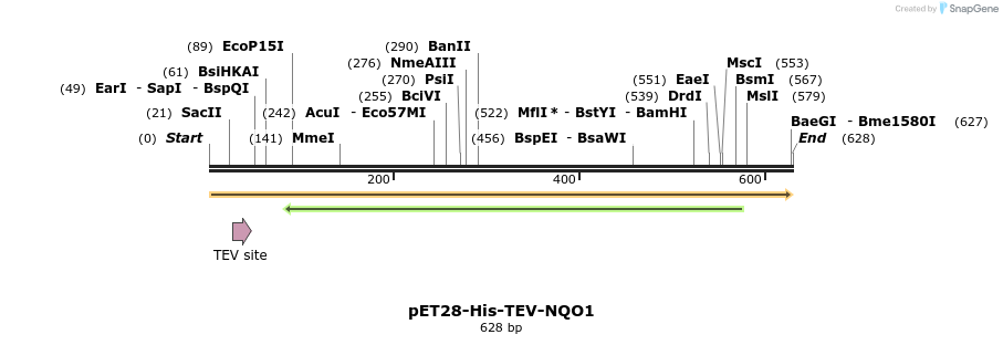225535_map