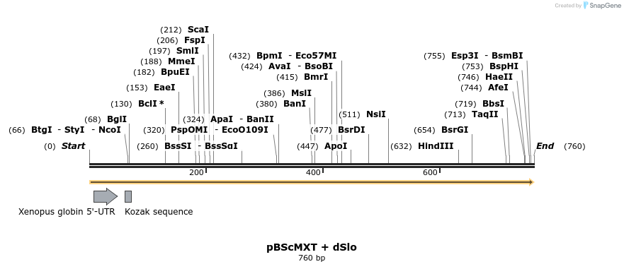 22555_map