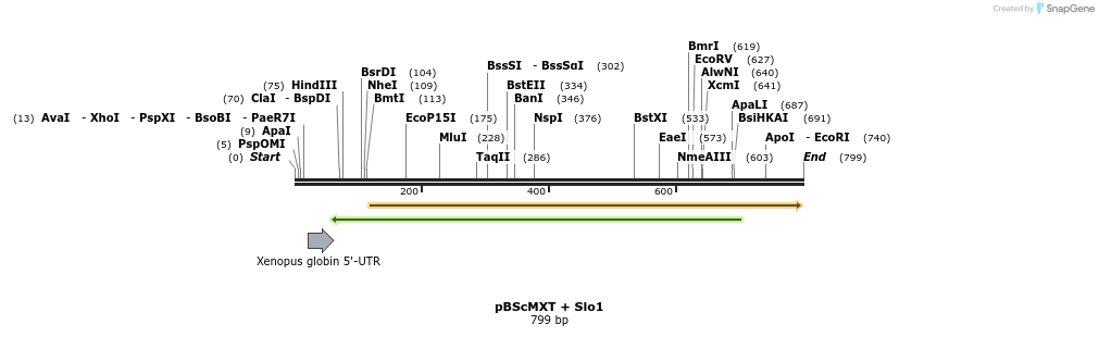 22556_map