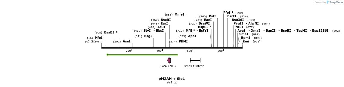 22557_map