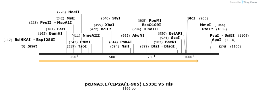 225587_map