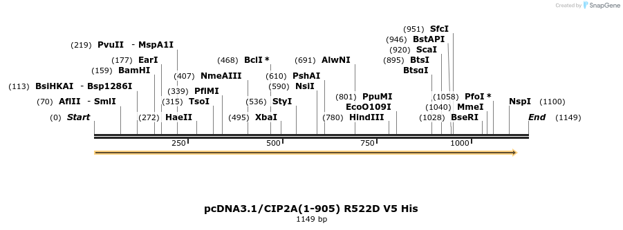 225588_map