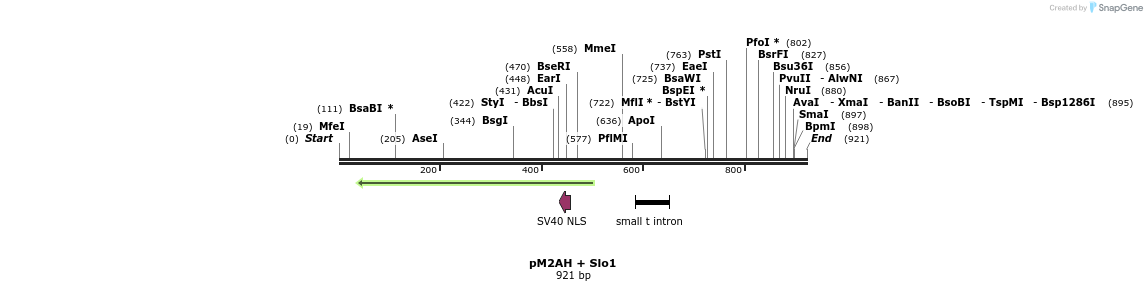 22559_map