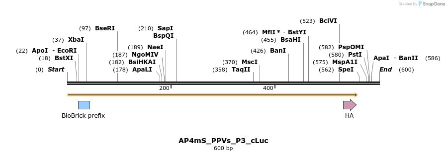 225599_map