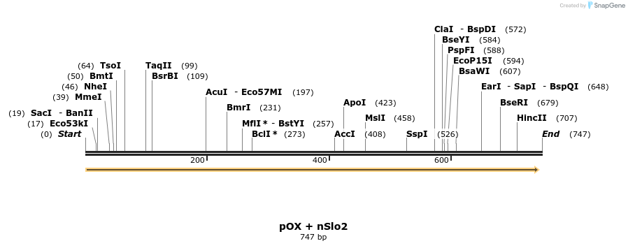 22561_map