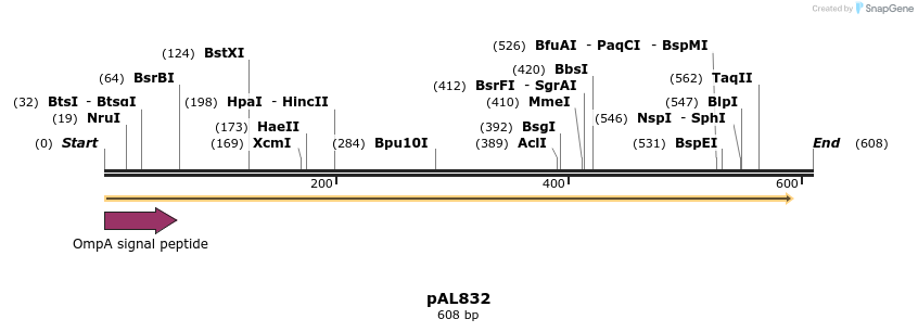 225618_map