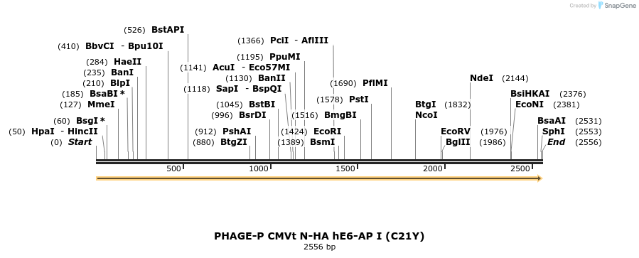 225620_map