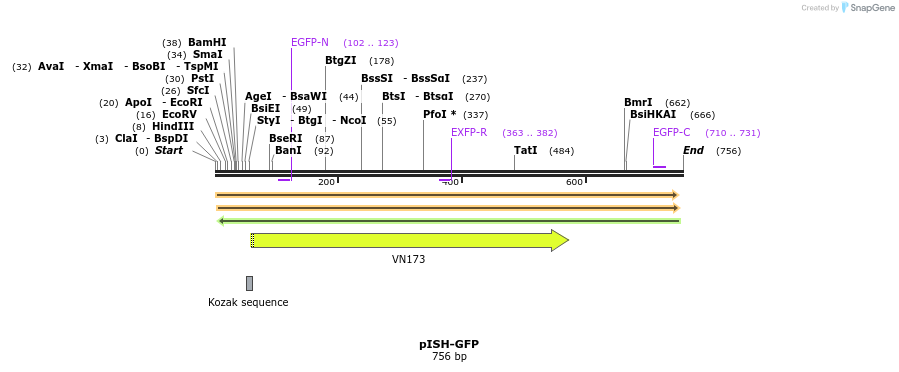 22564_map