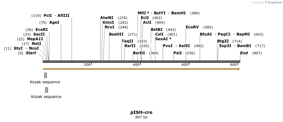 22566_map