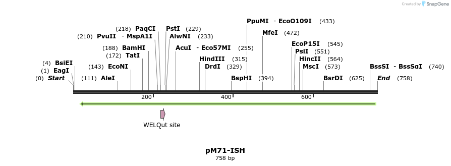 22568_map