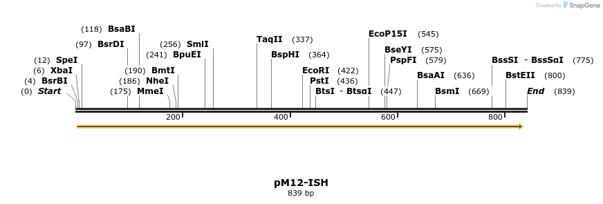 22569_map