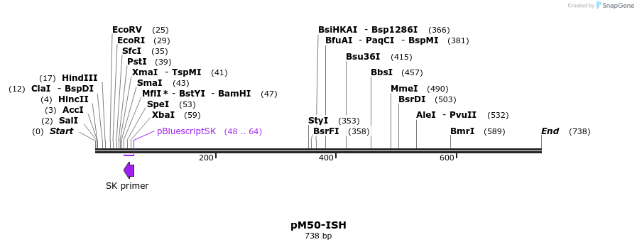 22570_map
