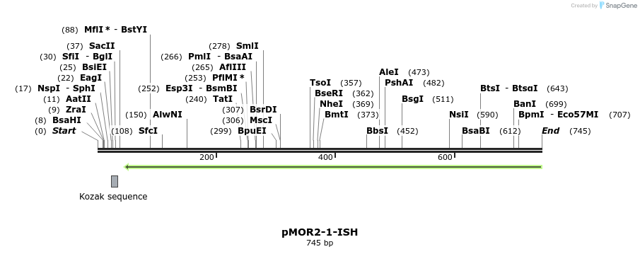 22571_map