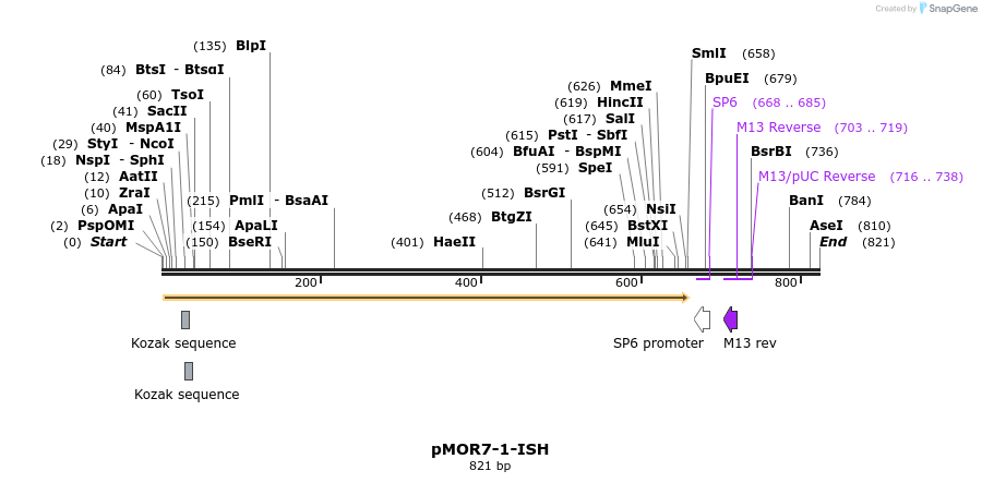 22572_map