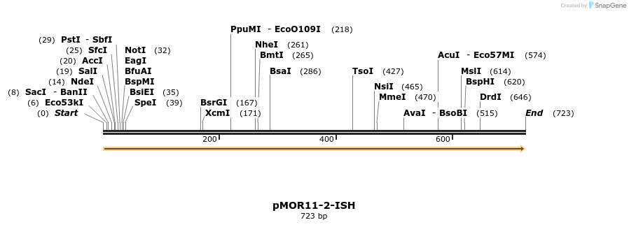 22573_map