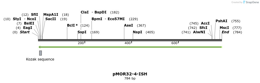 22577_map