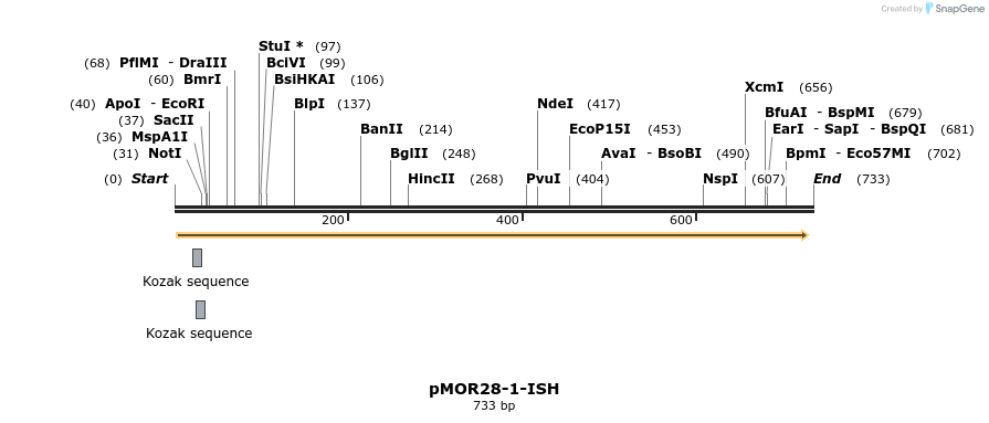 22579_map