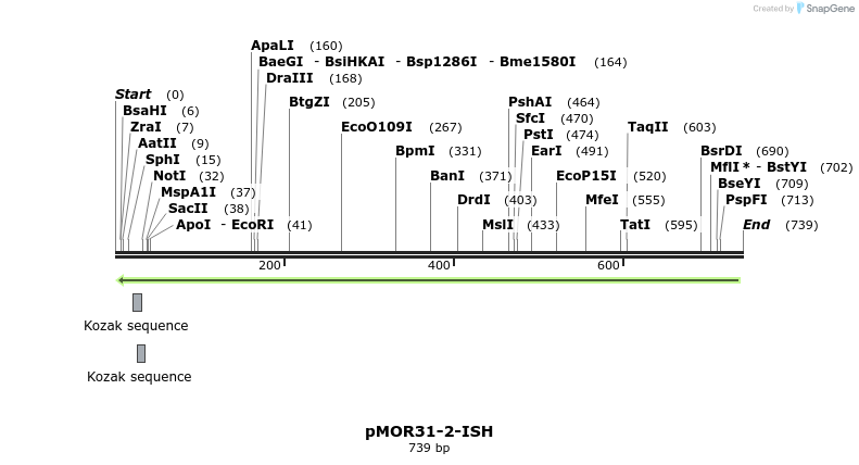 22580_map