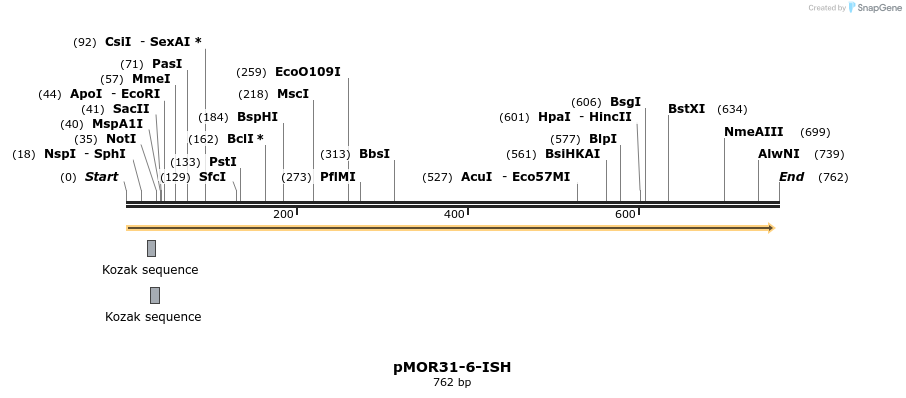 22581_map