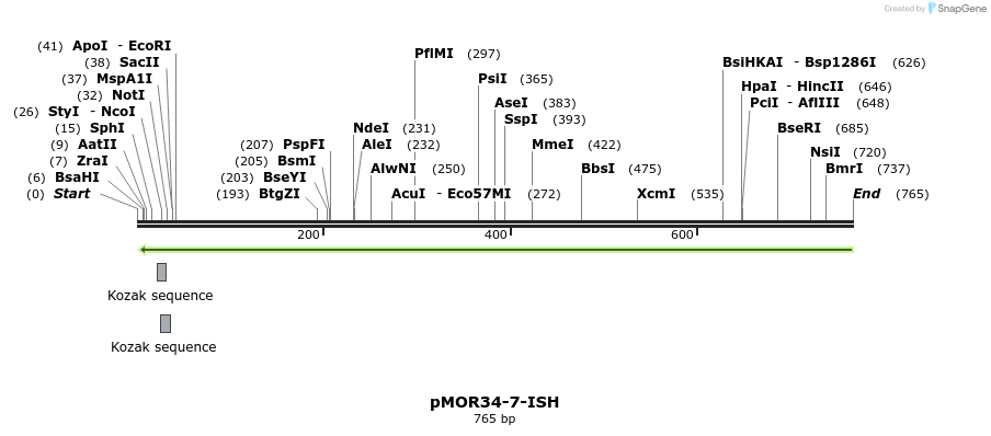 22582_map