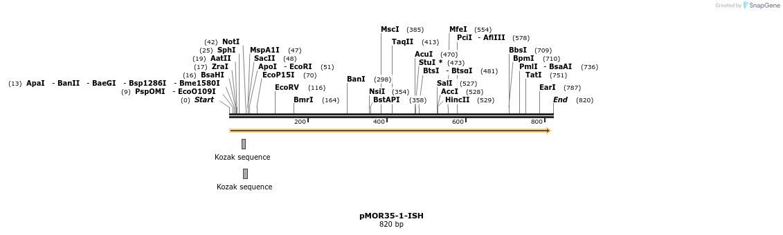 22583_map