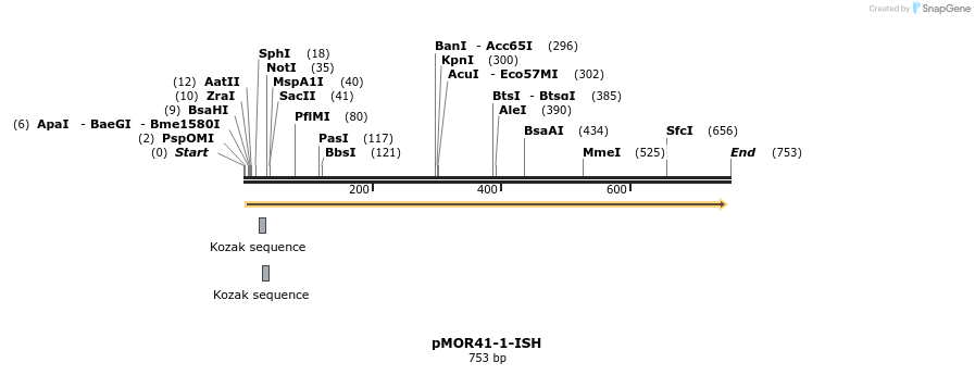 22584_map