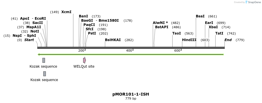 22585_map