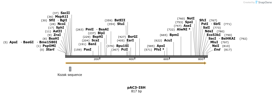 22590_map