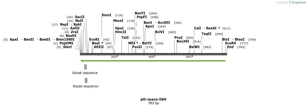 22592_map