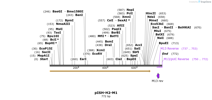 22602_map