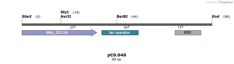 226072_map