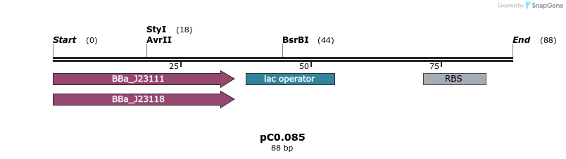 226082_map