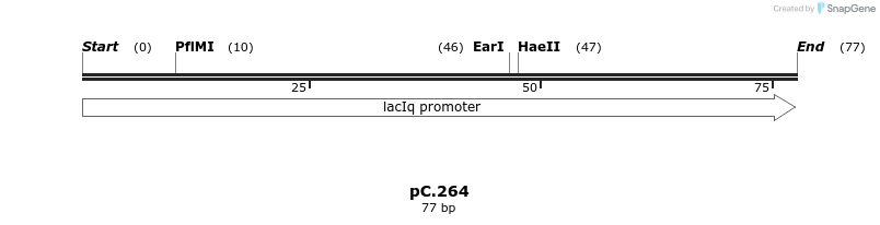 226096_map