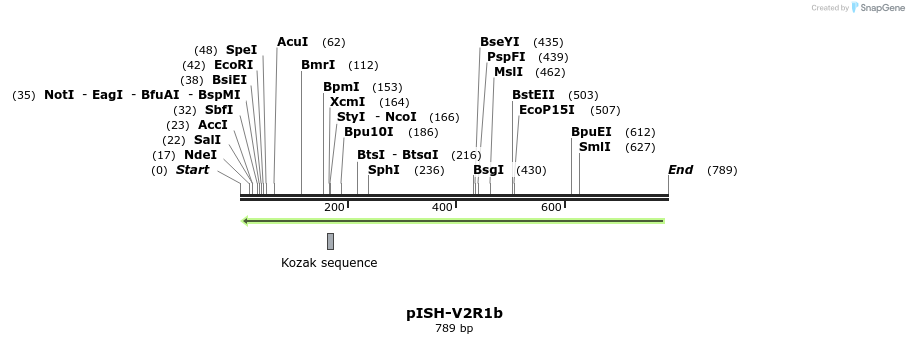 22611_map