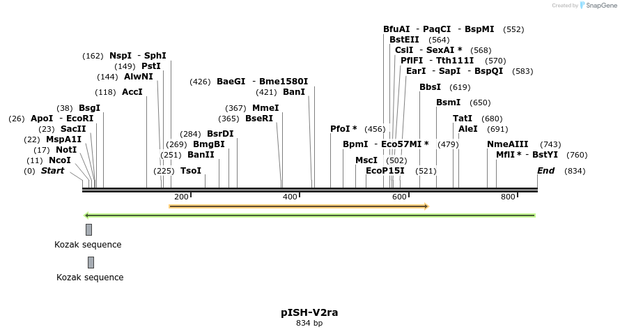 22612_map