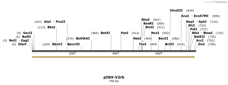 22613_map