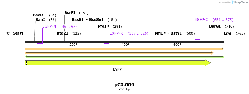 226132_map