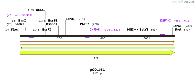 226134_map