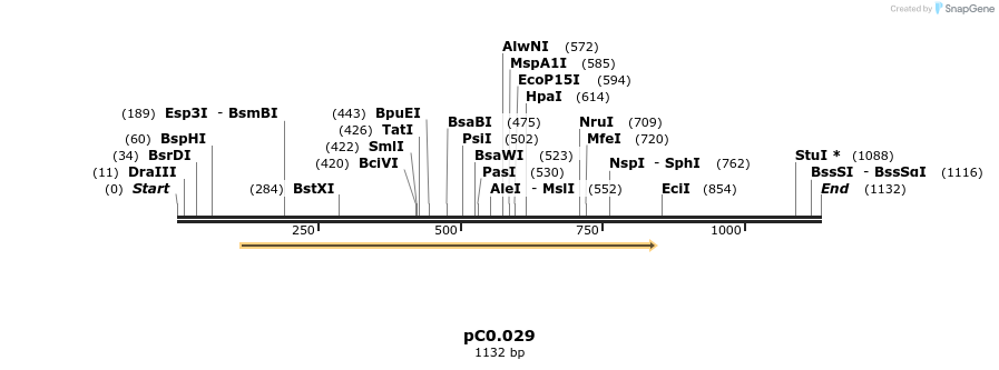 226146_map