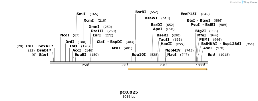 226156_map