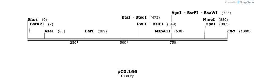 226160_map