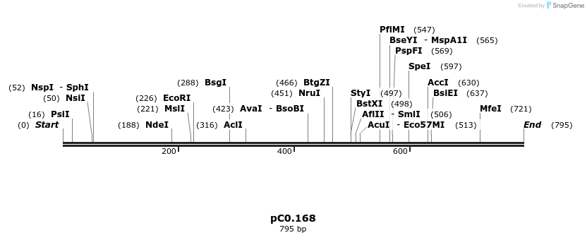 226164_map