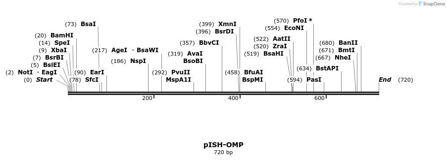 22617_map