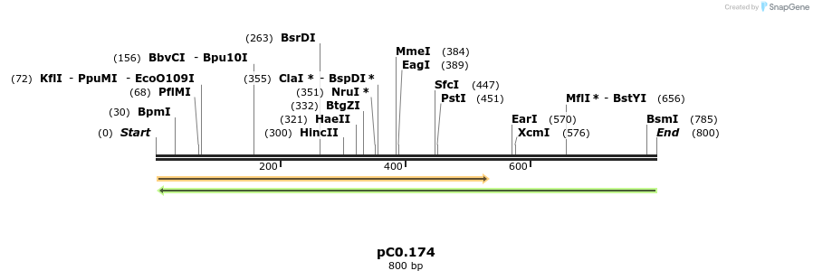 226176_map